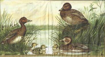 006 Ducks - 3-ply (gray) - Ihr